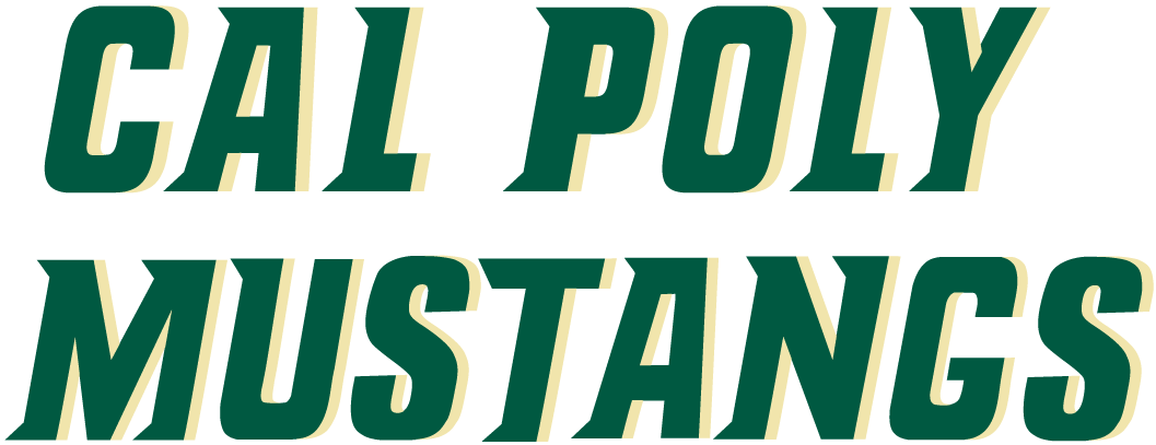 Cal Poly Mustangs 2000-2006 Wordmark Logo DIY iron on transfer (heat transfer)